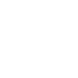 list item image