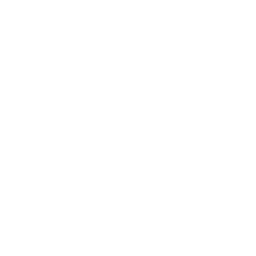list item image