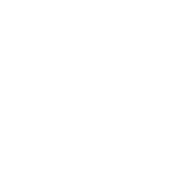 list item image