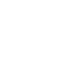 list item image