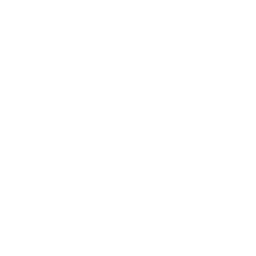 list item image