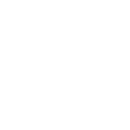 list item image