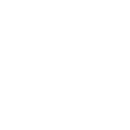 list item image