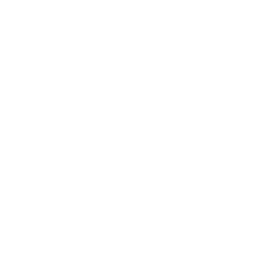 list item image