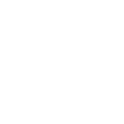list item image
